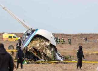 Airline Bail Out: Impact on Flights to Russia After Jet Crash airline-bail-out-mpact-on-flights-to-russia-after-jet-crash