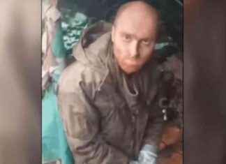 Australia Seeks Cooperation from Russia on Ukrainian Fighter: Update australia-seeks-cooperation-from-russia-on-ukrainian-fighter-update