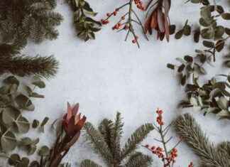 Blending in: How to Speak Ukrainian Like a Local blending-in-how-to-speak-ukrainian-like-a-local