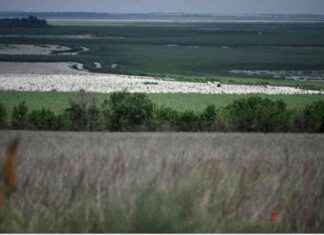 Russian Command’s Betrayal of Fallen Soldiers in Kherson: No Compensation, No Medals russian-commands-betrayal-of-fallen-soldiers-in-kherson-no-compensation-no-medals