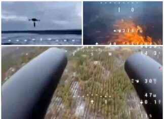 Ukraine’s Counter-Drone Arsenal Bolstered by Dual-Shotgun Drones in Forbes ukraines-counter-drone-arsenal-bolstered-by-dual-shotgun-drones-in-forbes