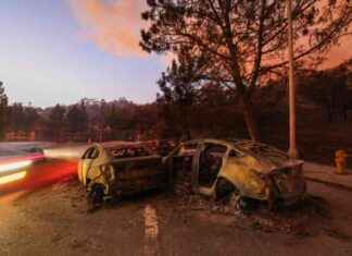 Global News Roundup: January 11, 2025 global-news-roundup-january-11-2025