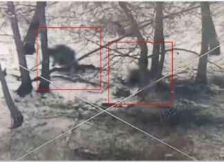 North Korean Forces Pause Advance in Russian Kursk Region – Sky News north-korean-forces-pause-advance-in-russian-kursk-region-sky-news