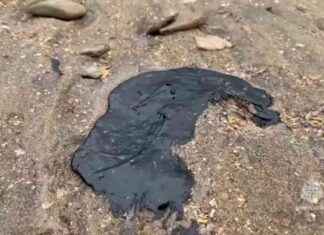 Oil Spill from Russian Shadow Fleet Tankers Hits Sevastopol Shores: Ecological Disaster Impacts Environment oil-spill-from-russian-shadow-fleet-tankers-hits-sevastopol-shores-ecological-disaster-mpacts-environment