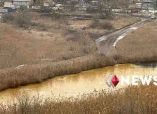 Sunflower Oil Pollution in Ukraine River Caused by Russian Drone Attack sunflower-oil-pollution-in-ukraine-river-caused-by-russian-drone-attack