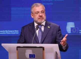 Ukraine’s Energy Chief Warns of Potential Power Cut as Slovakia Threatens Action ukraines-energy-chief-warns-of-potential-power-cut-as-slovakia-threatens-action