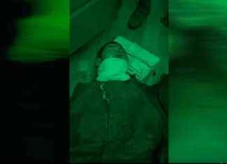 Ukrainian Paratroopers Capture North Korean POW: Inside Story ukrainian-paratroopers-capture-north-korean-pow-nside-story