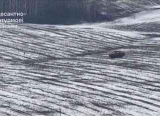 Ukrainian Paratroopers in Kursk Out of Ammo, Defeat Russians with Armored Vehicle ukrainian-paratroopers-in-kursk-out-of-ammo-defeat-russians-with-armored-vehicle