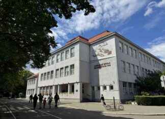 Західна загроза: розуміння, чому Угорщина шпигує за Закарпаттям